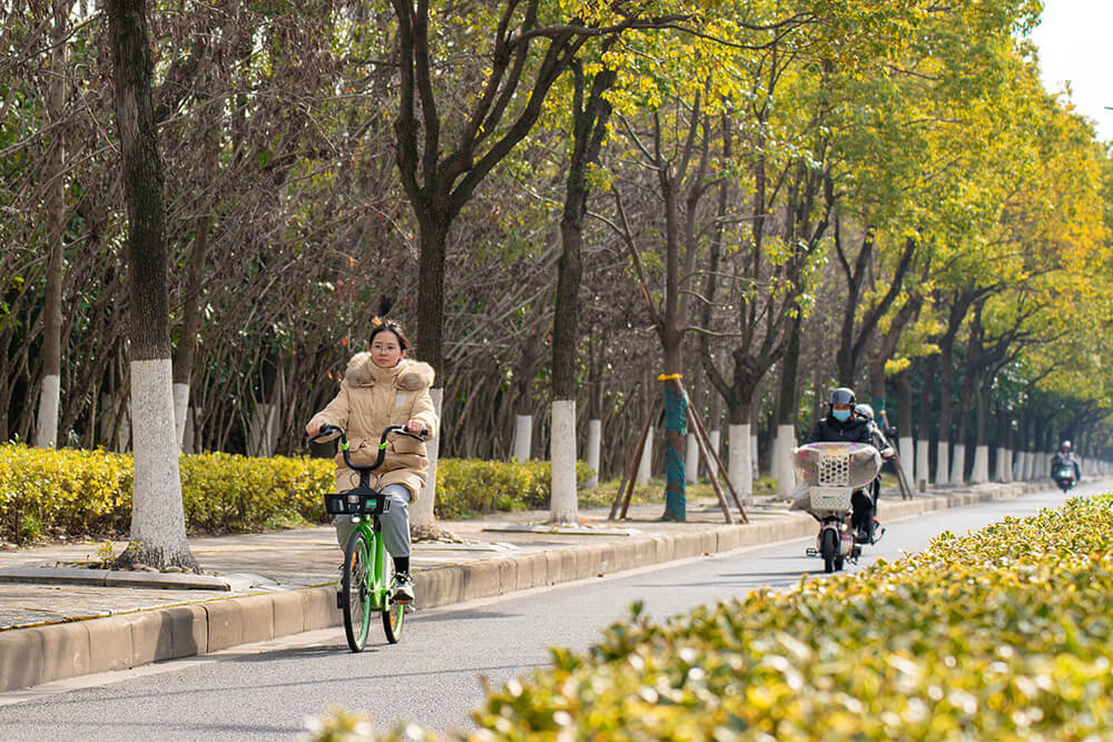 開工首日永安行騎行量增三成